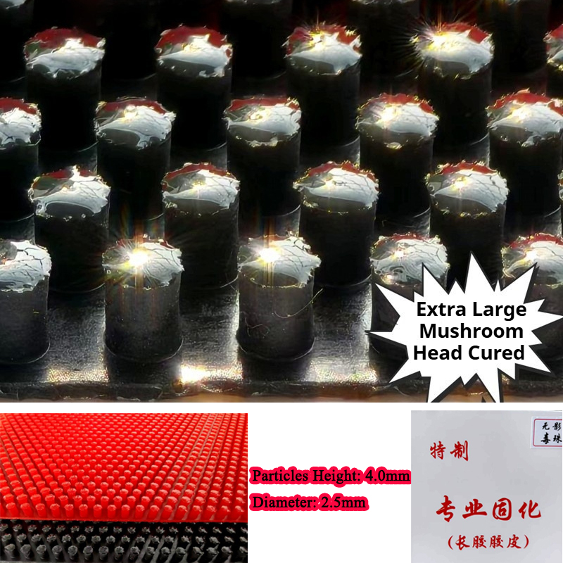 Table Tennis Head To Head - KASFU Ultra-large Mushroom-head Cured Table Tennis