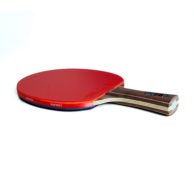 Rakietka do tenisa stołowego L – Table Tennis Padel recenzja i cena