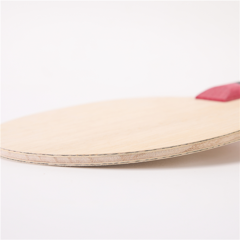 Stuor 5 warstw drewna z 2 wars – Table Tennis Forehand recenzja i cena
